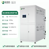 復(fù)合艙微過熱蒸汽發(fā)生器（1.3噸）