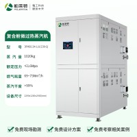 復(fù)合艙微過熱蒸汽發(fā)生器（1噸）