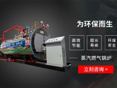 管道及閥門(mén)的檢查